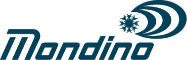 Mondino